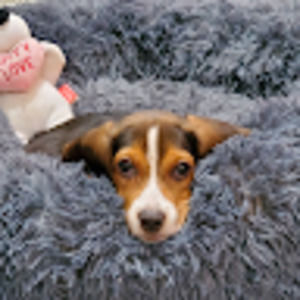 Meet your Posher, E-berrios